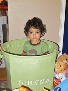 Sienna in bin